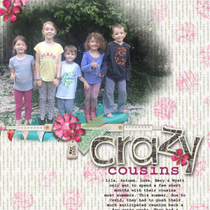 Crazy Cousins