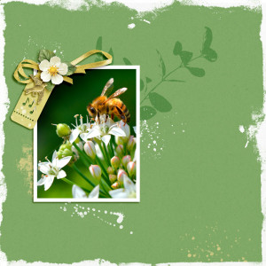 2020 May Template Challenge