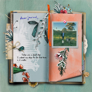 Dear-Diary