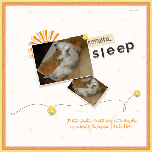20-05-Sahin-Challenge Sleep