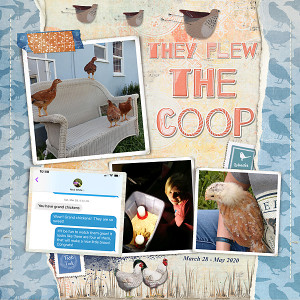 They Flew The Coop