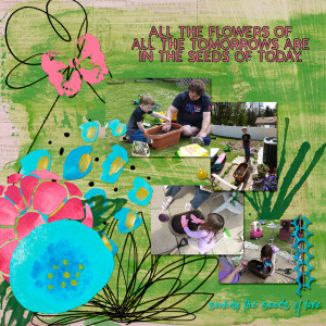 Planting Seeds In Spring