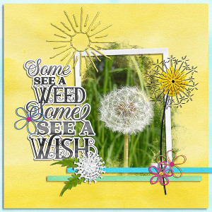 wish
