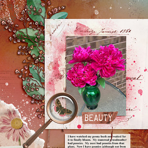 BotanicalMix_flowersgal_web