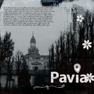 18nov25_Pav