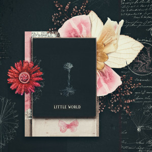 LittleWorld