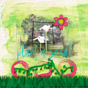 Plant a Seed