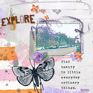 Jacarandas