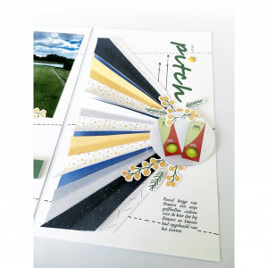 Sahin Designs May Challenge - Life is a Pitch