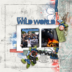 It's A Wild World