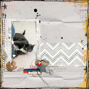 Lisa_Mayspeedscrap-copy