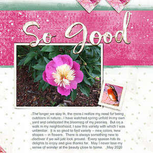 PhotographyChall_06-2020_flowersgal_web