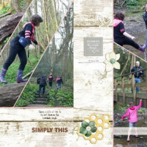 In the Dingle (2 pager)