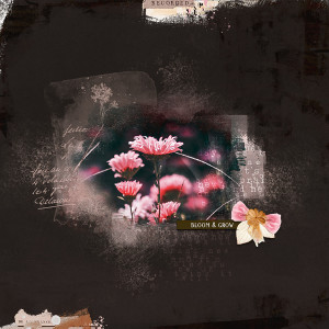 Bloom