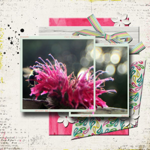 Scraplift Karen B Hungry Mouths And My Take Bee Balm And Bumblebee