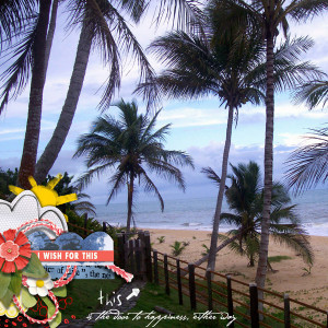 WishForThis