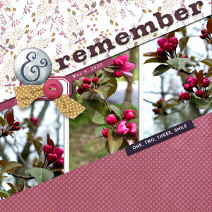 Scrapping-with-Liz_2020-06_June-MIS_web