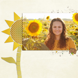 InspirationChall_Jun2020