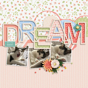dream