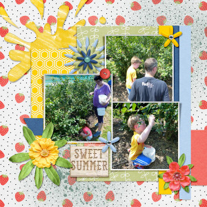Sweet Summer