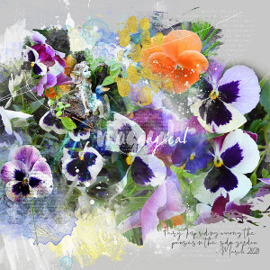 PANSIES-MAGICAL