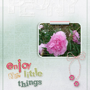 Peony