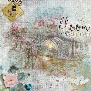 Bloom & Grow