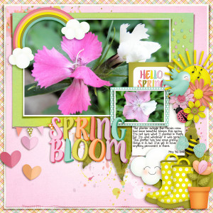 Spring Bloom