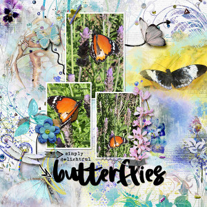 Butterflies