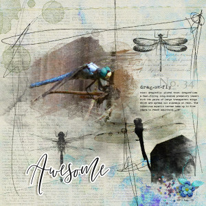 Dragonfly