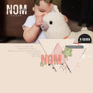 Nom-Nom-Nom