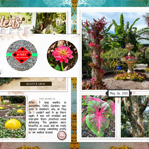 Selby Gardens