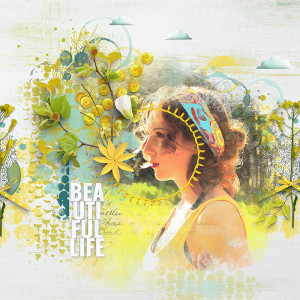 Beautiful life