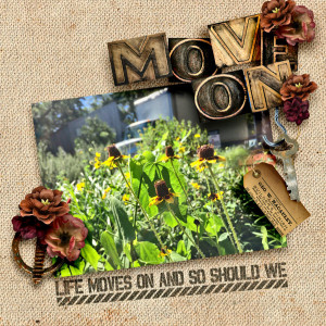 MoveOn
