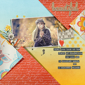 Fdd_LazyDays_DD_tp2