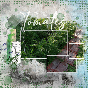 20200531-Tomates
