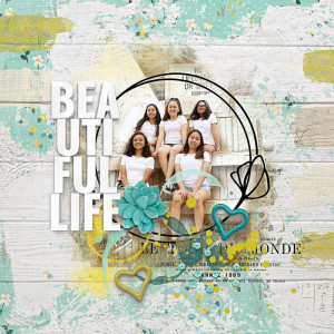 Beautiful Life