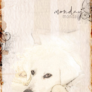 06-20_Advanced_Nova_mondaymonday