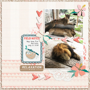 Nap