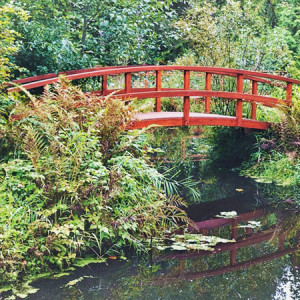 RedBridge-BEFORE