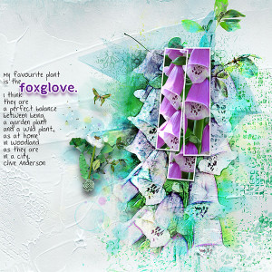 Foxglove