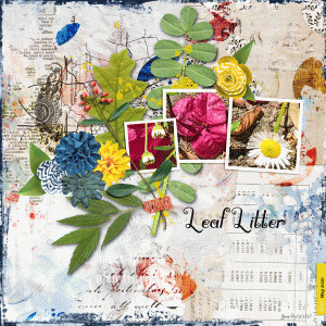 BYOC_leaflitter