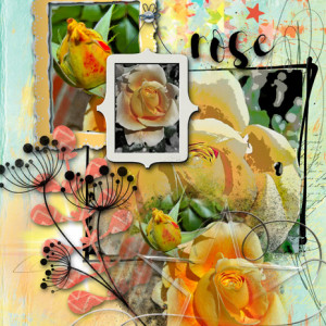 Nbkbirthdaychallenge_rose