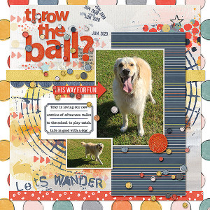 throw the ball