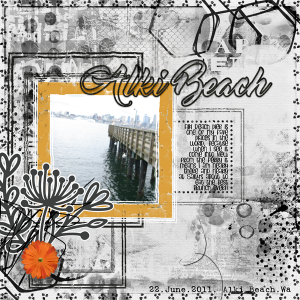 NBKSimple_June 2020_Alki