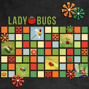 Ladybugs