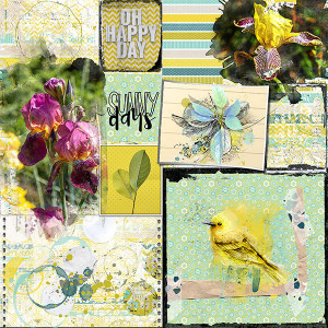 NBK Simple Challenge June