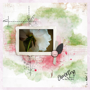 2020-5-23-first-peony_600web