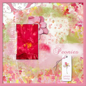 Peonies