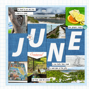 June 2020_left